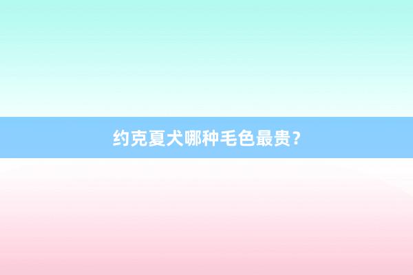 约克夏犬哪种毛色最贵？