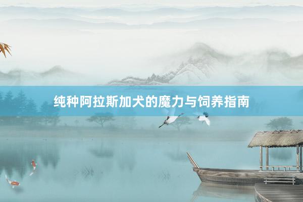纯种阿拉斯加犬的魔力与饲养指南