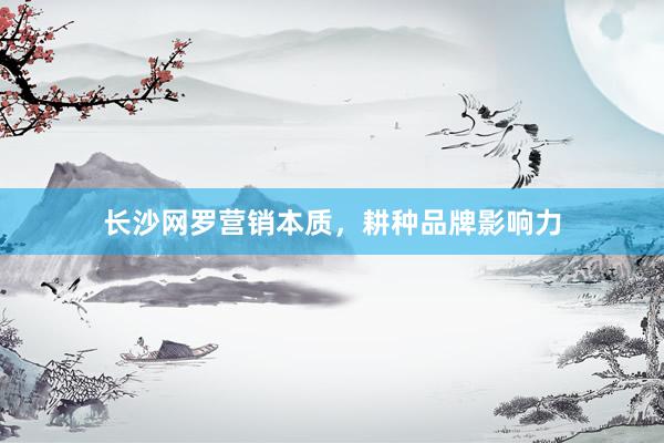 长沙网罗营销本质,耕种品牌影响力